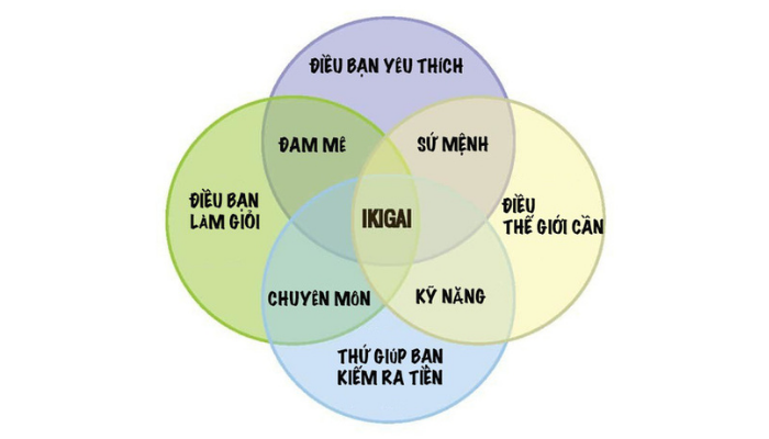 tìm lĩnh vực phù hợp theo ikigai