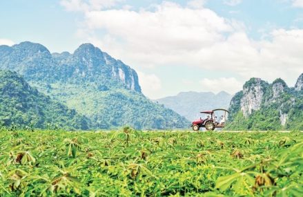 Du Lịch Xanh: Tại Sao Bạn Nên Trải Nghiệm Ngay Lập Tức?