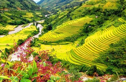 Kinh Nghiệm Du Lịch Tự Túc Ở Việt Nam Cho Người Mới Bắt Đầu