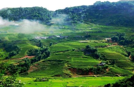 Top 5 Địa Điểm Du Lịch Xanh Đẹp Nhất Việt Nam 2024: Trải Nghiệm Thiên Nhiên Tuyệt Vời