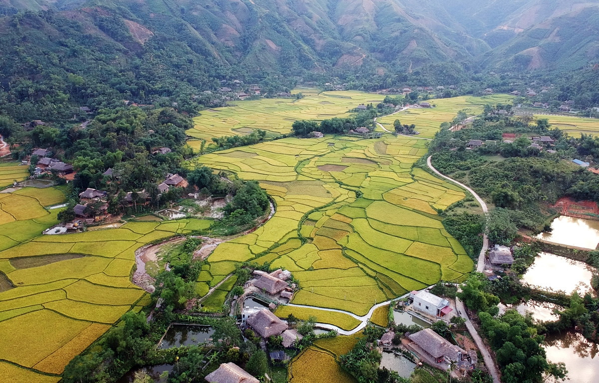 thân thiện với môi trường