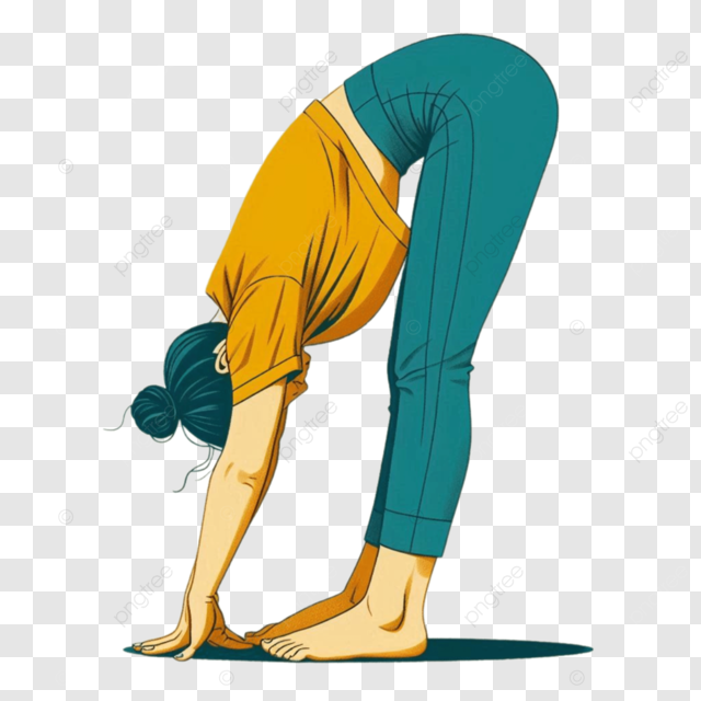 Tư Thế Gập Người Về Phía Trước (Forward Bend Pose)