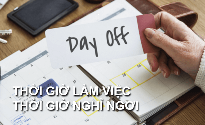 thời gian làm việc mỗi ngày