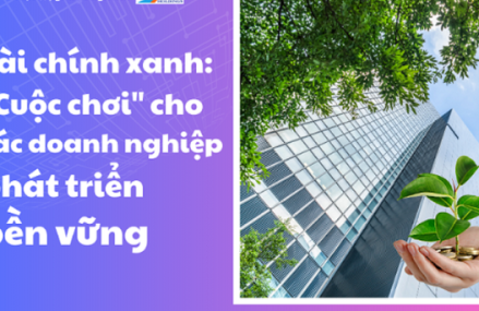 Hướng dẫn đầu tư vào cổ phiếu xanh và xu hướng bền vững